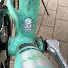 コーダーブルーム KhodaaBloom 22インチ 