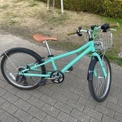 コーダーブルーム KhodaaBloom 22インチ 