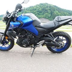 【ネット決済・配送可】ＹＺＦ－Ｒ２５A　ＡＢＳMT25実働250...