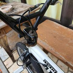 BMX Ares Ashura フラットランド