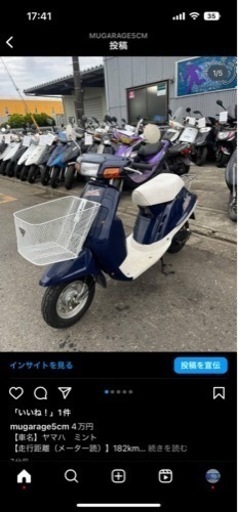 ミント