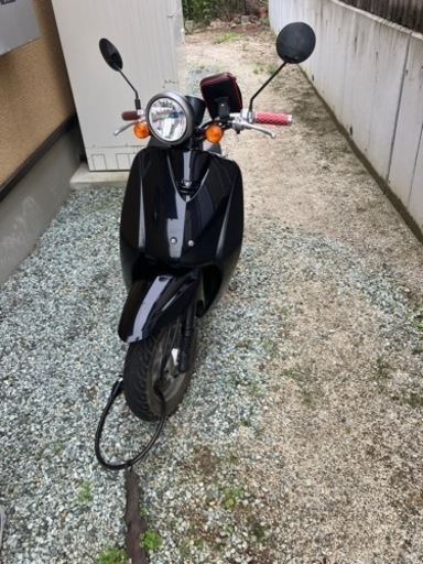 原付　ホンダ　トゥデイ