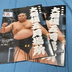 大相撲　五月場所　パンフレット　2冊　おまけ付き