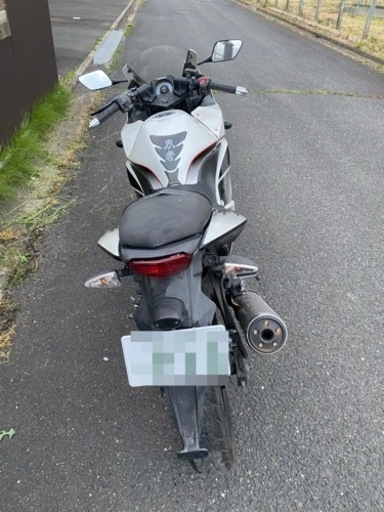 NINJA250r 走行29948km 自賠責有(約3年)※値下げしました。 事故車の