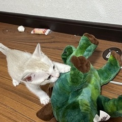 幸せになりました！ありがとうございました！