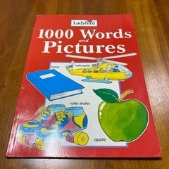 【美品】アメリカ Ladybird「1000 Words and...