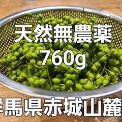 ☆群馬県赤城山麓 天然山椒の実 完全無農薬 760g ...