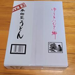 ヤマダイ　手緖里うどん