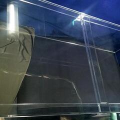 アクリル水槽 マコト工芸 1ヶ月使用