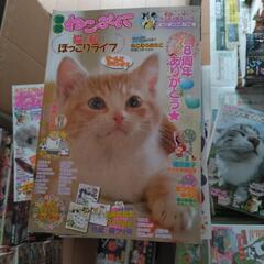 【無料】ねこぱんち 猫まんが雑誌