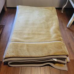 【2枚セット】140×200cmサイズ毛布