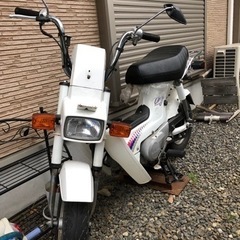 ホンダ角目シャリー