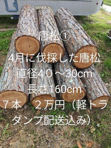 薪①　針葉樹　軽トラ２台分　原木　カラマツ７本