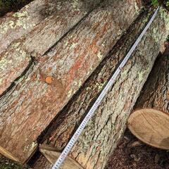 薪② 原木 カラマツ 10本