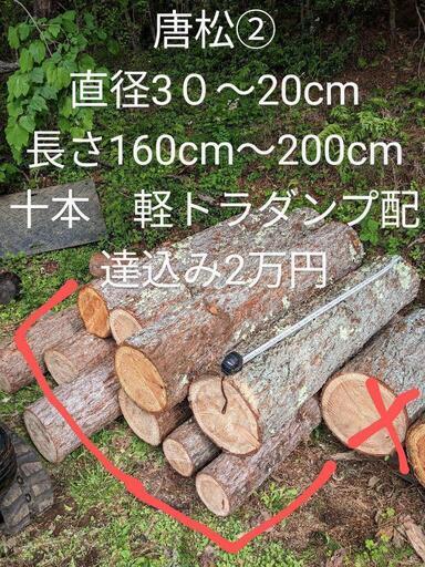 薪②　原木　カラマツ　１０本