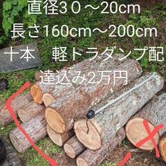 薪②　原木　カラマツ　１０本