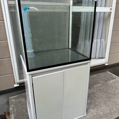 60x45x50 オーバーフロー水槽　海水魚 60x45x50 オーバーフロー水槽 海水魚