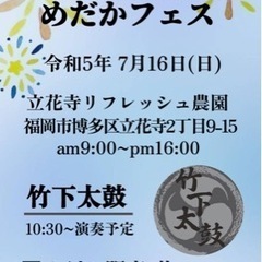 今年も開催決定！　めだか夏祭り！