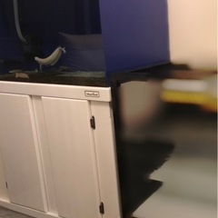 アクリル水槽、水槽台セット　【引き取り限定】