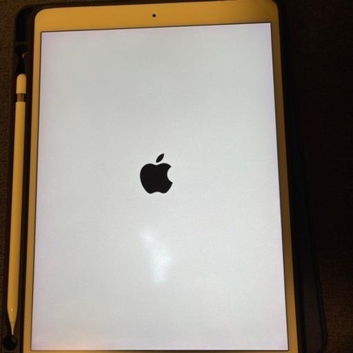 ipad pro 10.5インチ 256GB セルラーモデル ケース、ペンシル、箱付き