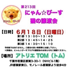 6月18日(日)🌸にゃん☆ぴーす猫の譲渡会🌸「アトリエTOM」J...