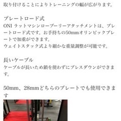 武器屋　鬼　ラットプル　プレートロード式