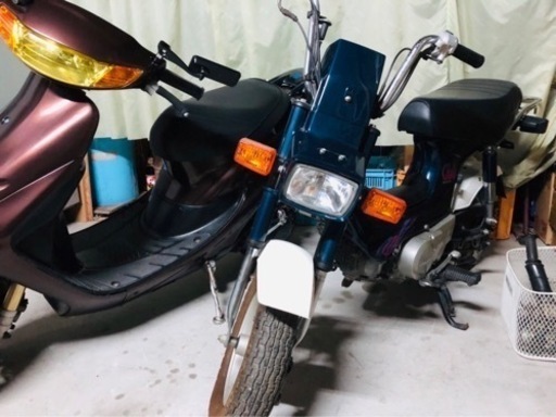 ホンダ | HONDA シャリィ50 | CHALY 50 A-CF50