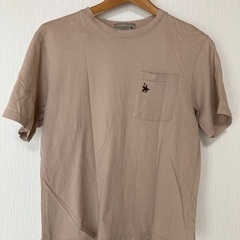 レディスTシャツ無料です。