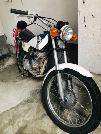 TL50 バイアルス