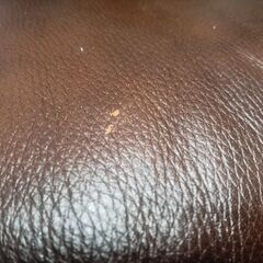 (値下げ)値下げ ソファ 本革 総革張り 3P dark brown 濃い茶色