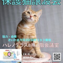 ６/18（日）ハレノテラス保護猫譲渡会