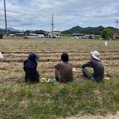 【農業体験】糸島の畑で自然栽培で育てるさつまいもの収穫など