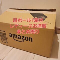 レディース お洋服を ダンボール1箱 まとめ売り