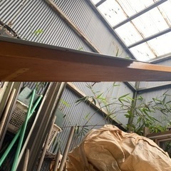 檜　長尺　一枚物　板