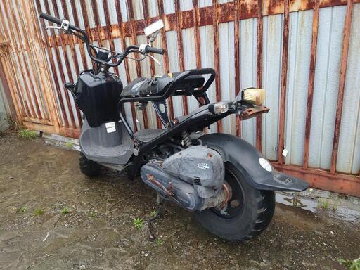 ホンダ ズーマー ZOOMER AF58 実動 ズーマー FI 実働 HONDA 50cc