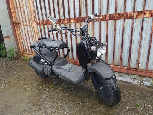 ホンダ　ズーマー　ZOOMER　AF58　実動