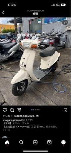 ミント白