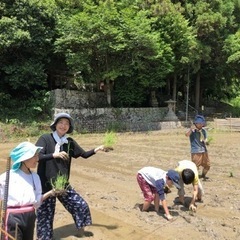 田植え体験　無農薬無肥料田んぼ　2023   岡山市南区