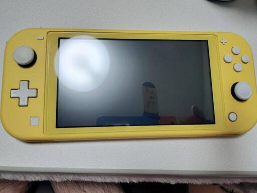 ☆ Switch Lite ☆※これ以上は値下げ出来ません。ですが、今日中に購入して頂ける方に限り特別に9000円でお譲りします。