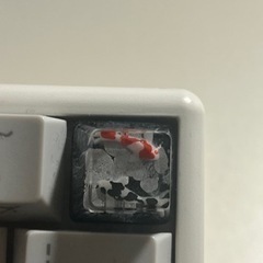 Niz atom66 静電容量無接点方式ワイヤレスキーボード　バックライト付き　カスタム済み