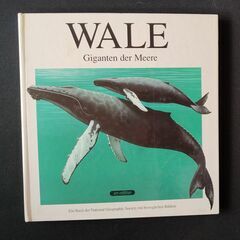 クジラ　飛び出す絵本　ポップアップ　洋書　ドイツ語