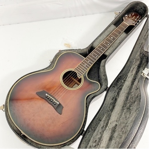【程度良好】TAKAMINE タカミネ アコースティックギター PT-108