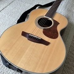 アコースティックギター　James J-450A