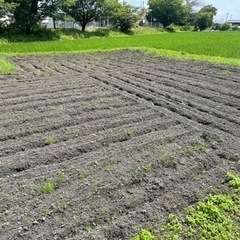 畑　畑土　上土　表土　みみず