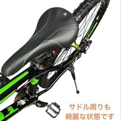 TREK WAHOO 限定 マウンテンバイク 29インチ 24変速 自転車 NO.406