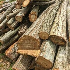 広葉樹薪材長物 長物 軽トラ2~3台分