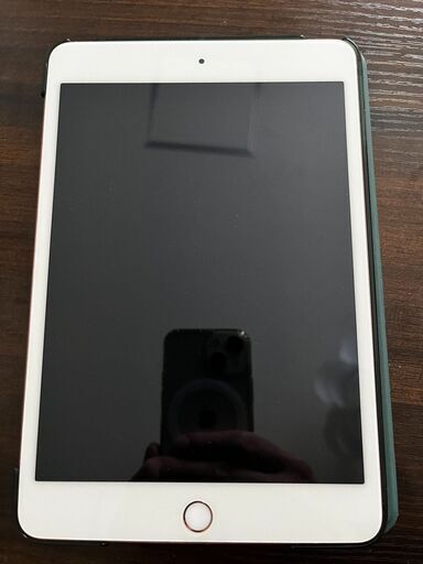 ipad mini5 64GB cellular モデル | www.neosaman.cz