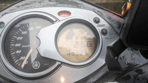 シグナス(SE44J…)締切りました。125cc 【公式通販】 シグナス(SE44J…)締切りました。125cc 【公式通販】