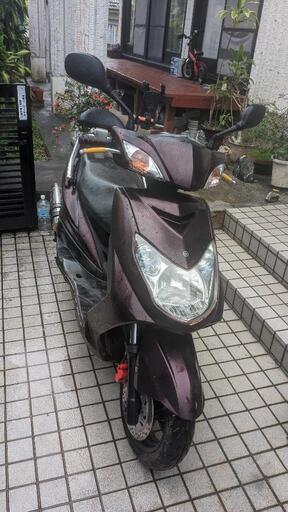 シグナス(SE44J…)締切りました。125cc 【公式通販】 シグナス(SE44J…)締切りました。125cc 【公式通販】
