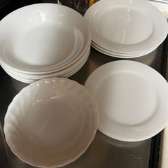 白のお皿色々